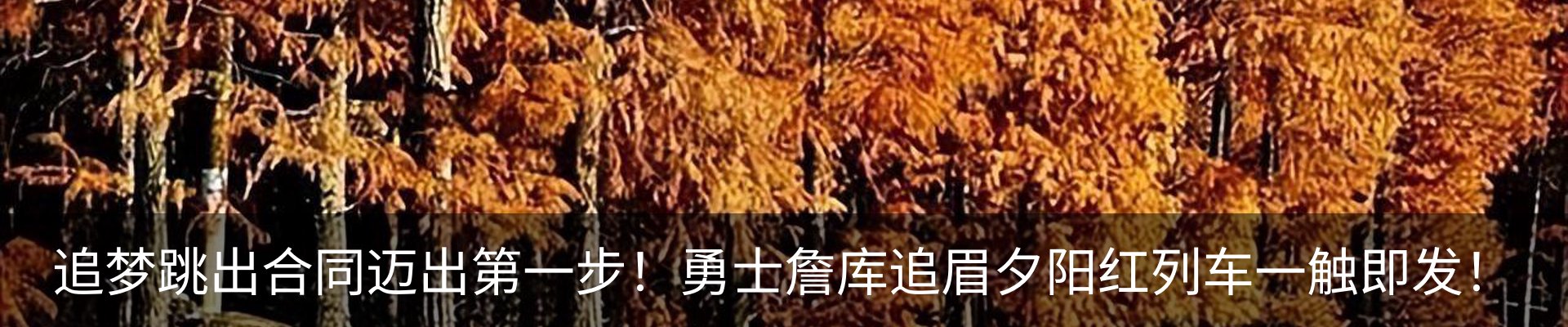 内页banner